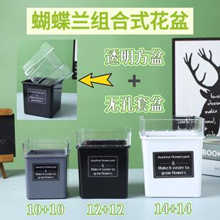 组合塑料方形透明花盆桌面阳台花架简约蝴蝶兰套盆懒人盆防长青苔
