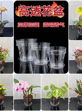 塑料简约圆形高透花盆