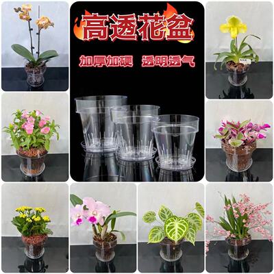 塑料简约圆形高透花盆