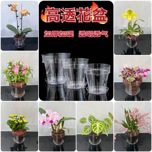塑料简约圆形高透花盆