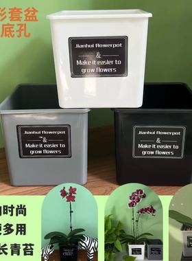 热销蝴蝶兰多肉绿植花卉简约花盆白色灰色方形水培塑料桌面套盆