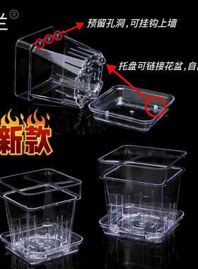 新款透明塑料桌面壁挂花盆识兰