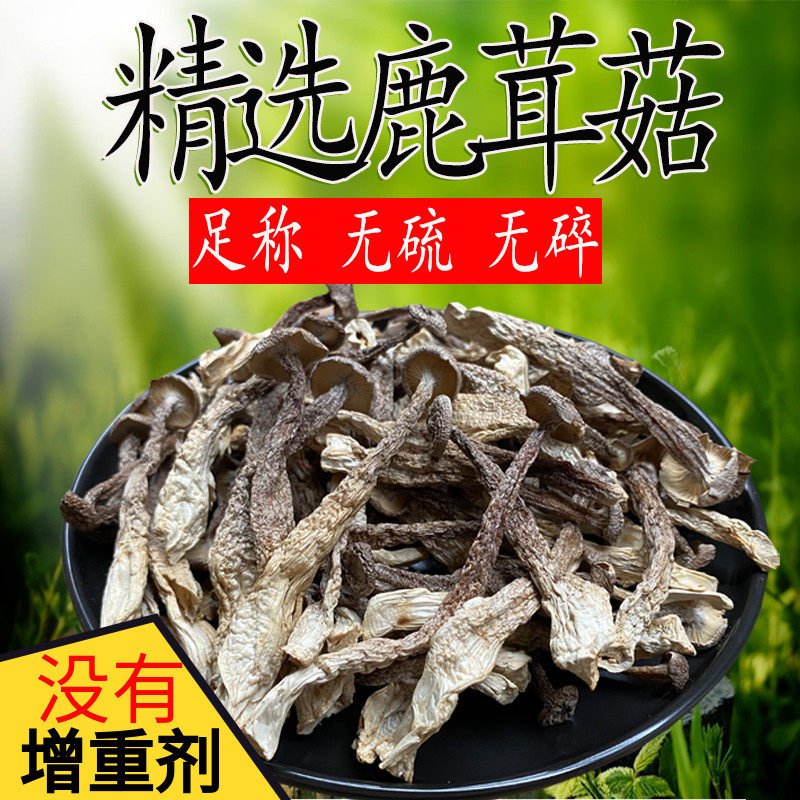云南产鹿茸菇干货500g 煲汤用脆姑菌菇类 非特级鹿茸菇包邮