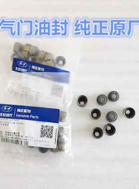 伊兰特索纳塔赛拉图狮跑气门油封