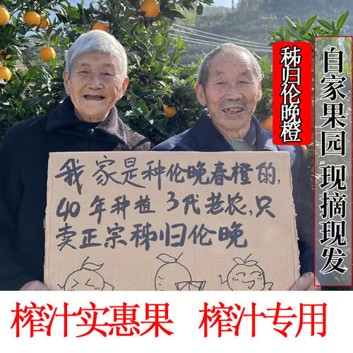 榨汁摆摊专用现摘伦晚橙