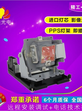 Optoma/奥图码 投影机灯泡 EH500 X600 DH1017带灯架BL-FU310B