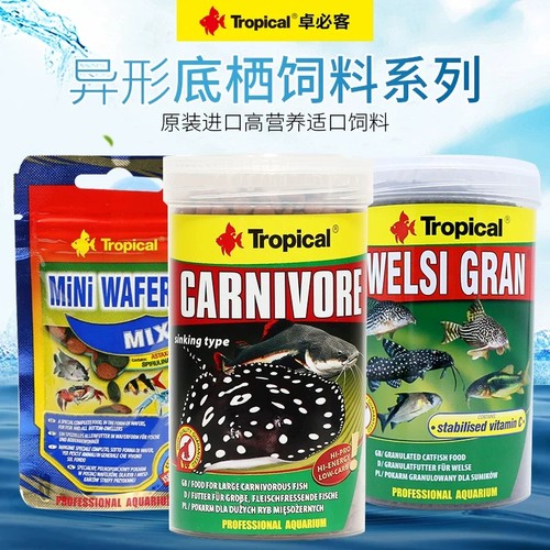 Tropical卓必客异形饲料清道夫鼠鱼胡子魟鱼清道肉食素食底栖鱼食