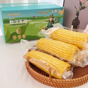 蒙谷阳光甜糯黄金小粒敖汉玉米42度新鲜糯玉米真空包装早餐软玉米
