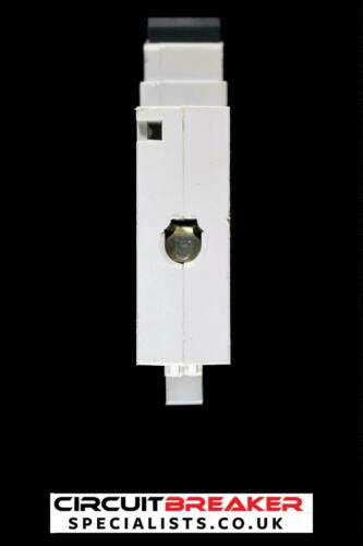 QOE SQUARE D 40 AMP TYPE B 6 kA MCB CIRCUIT BREAKER QOE 6000