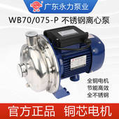 075 粤华牌WB50 037 WB70 P不锈钢离心泵清洗循环处理喷淋 025