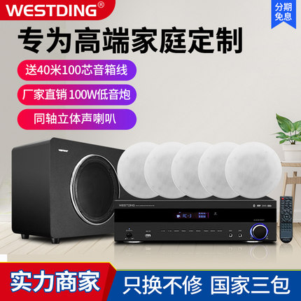 威斯汀吸顶式5.1家庭影院音响套装家用客厅环绕吊顶嵌入音箱功放