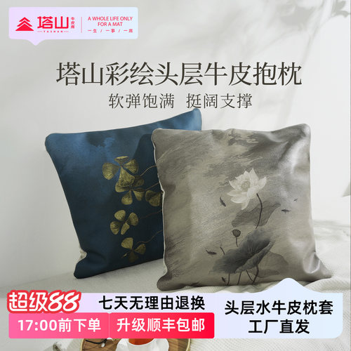 塔山彩绘头层牛皮抱枕靠枕方形
