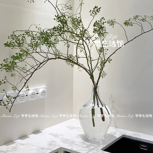 水培山归来花瓶大肚瓶小口吊钟花瓶玻璃透明水养插花瓶客厅摆件