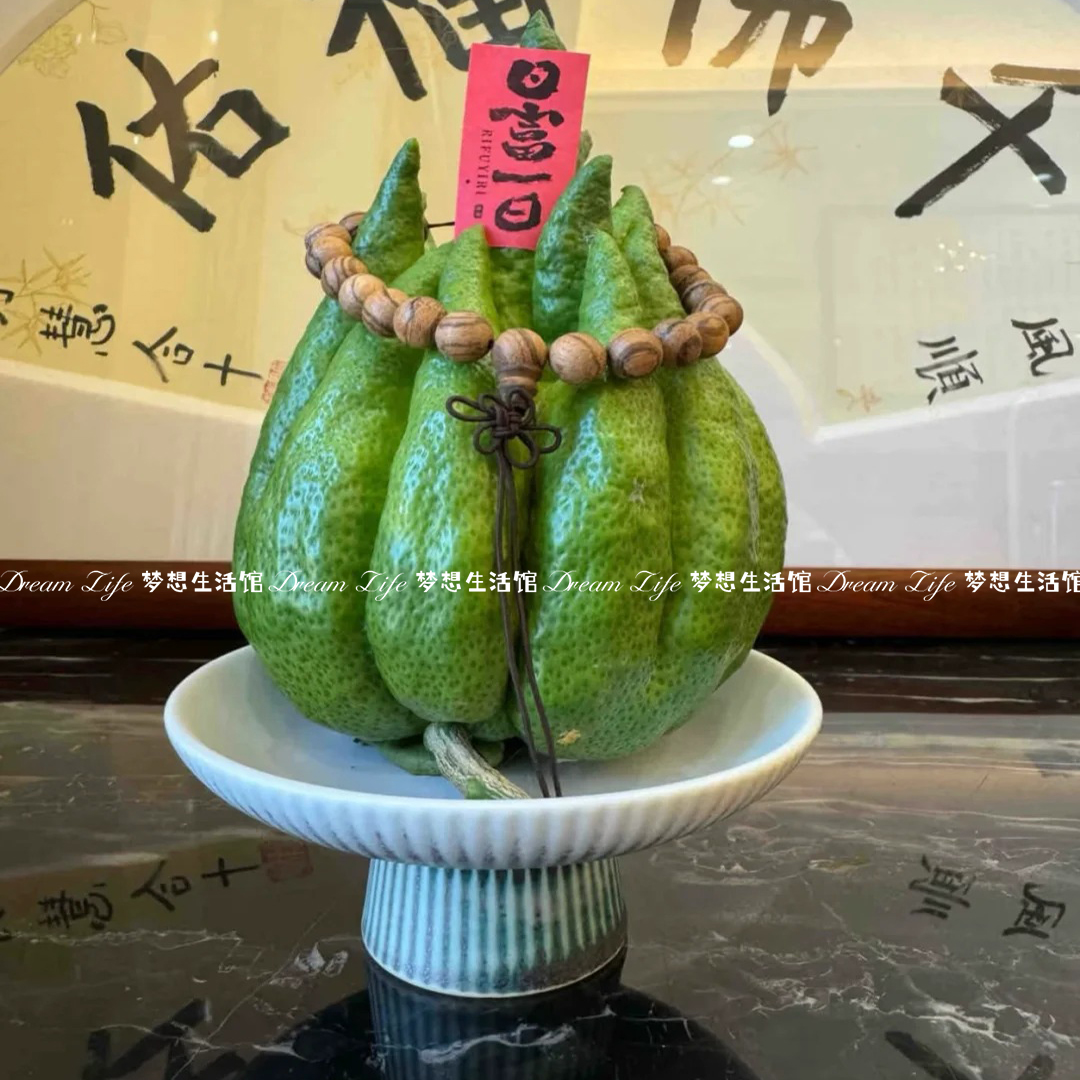 高脚禅意佛手柑容器托盘简约中式复古摆放盘花瓶观赏香橼葫芦器皿