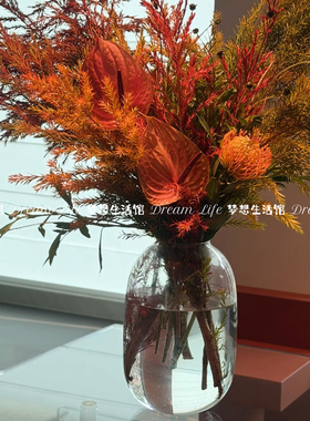 千层金专用透明玻璃花瓶水培