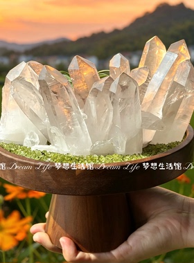 高级感实木造景盘天然水晶摆放盘水晶柱原石底座治愈情绪稳定摆件