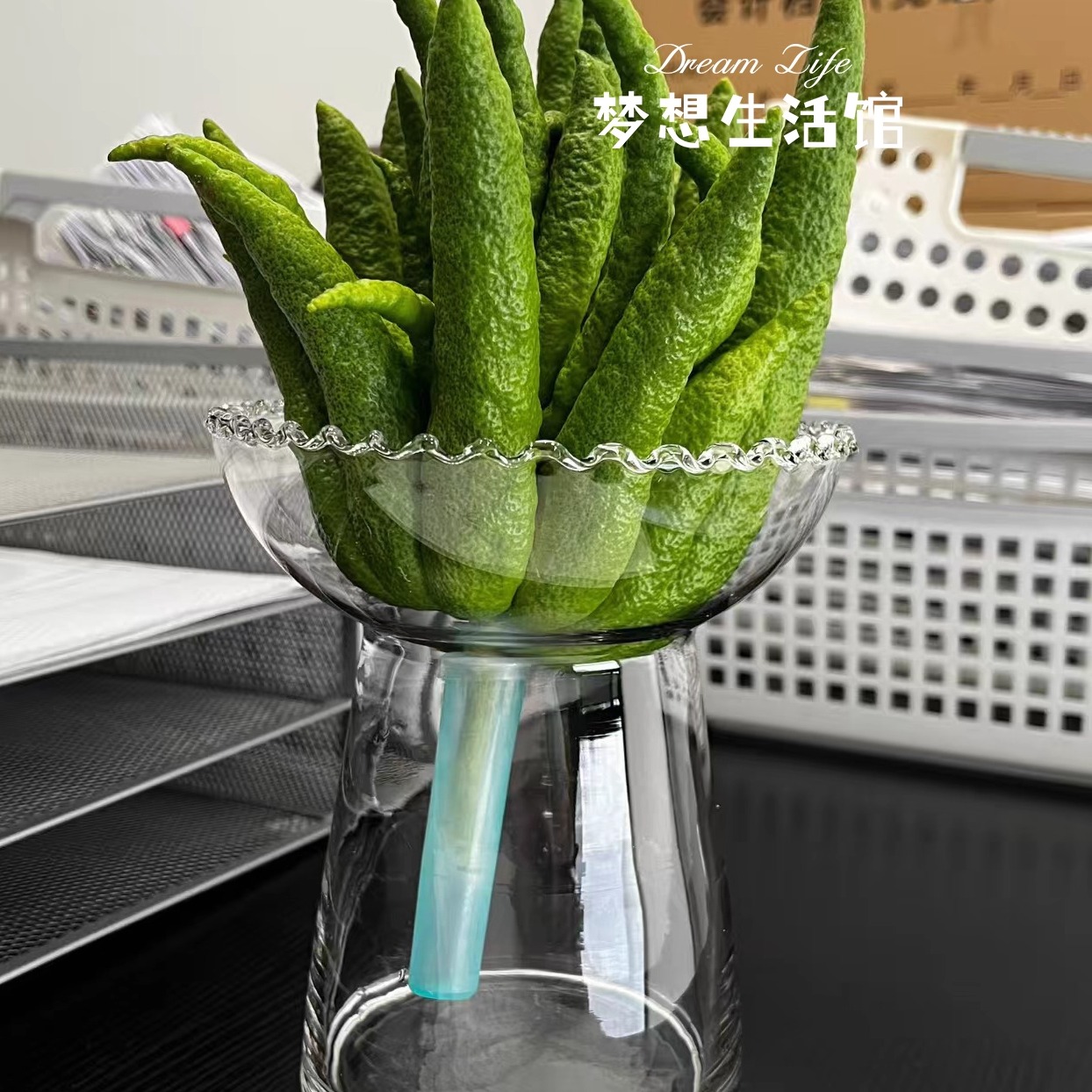 玻璃花瓶水培器皿观赏插花创意佛手柑花瓶水养轻奢摆件养花容器