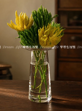 佛手柑透明玻璃花瓶器皿