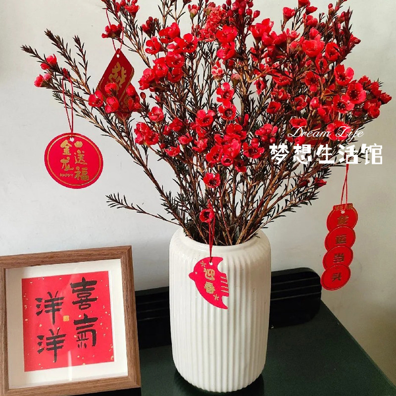 澳洲腊梅花瓶专用玄关客厅酒店民宿水养插花干花高级感陶瓷花器,家居饰品,花瓶,淘宝优惠券,粉丝福利购,淘宝优惠卷