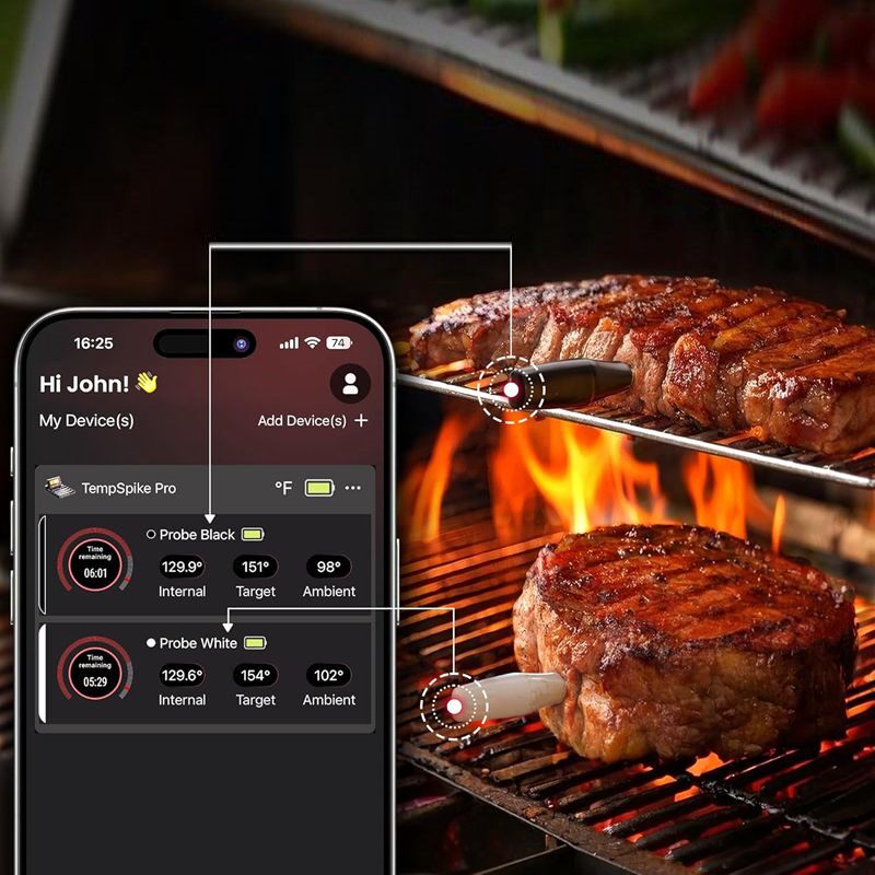 ThermoPro TempSpike Pro WiFi 蓝牙无线烤肉温度探针 型号：T980