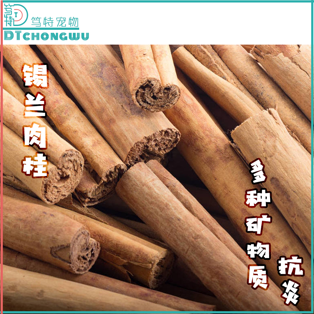 笃特宠物正宗锡兰肉桂啃咬零食