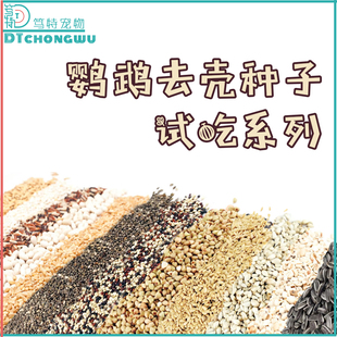 小鸟粮食和尚金太牡丹玄凤鹦鹉种子粮燕麦亚麻籽奇亚籽草籽试吃