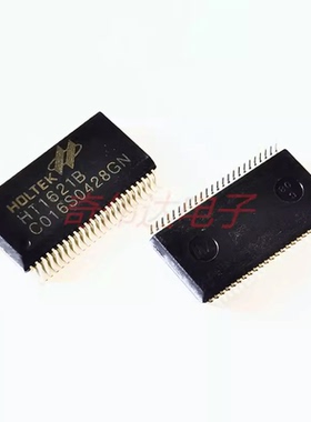 HT1621B SSOP-48 国产贴片 RAM映射 LCD驱动器 液晶芯片 HT1621B