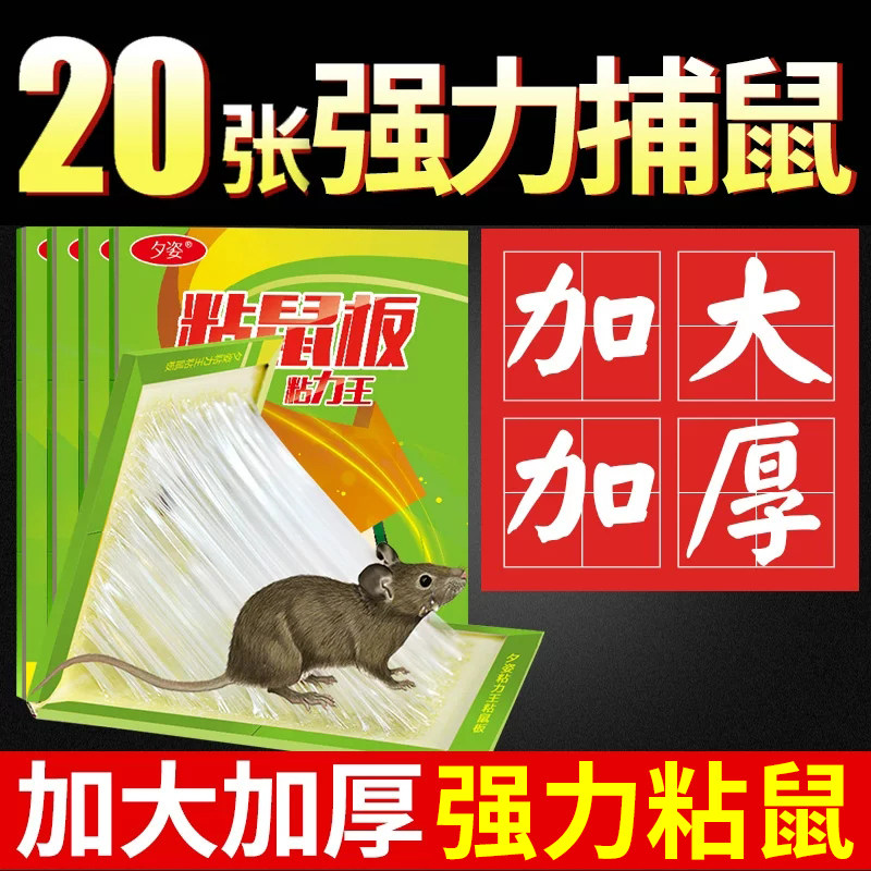 粘鼠板强力沾鼠超大号家用