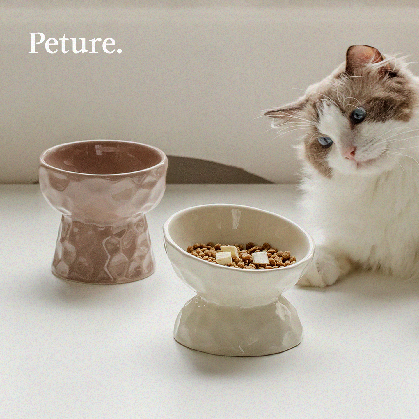 Peture陶瓷猫碗高脚锤纹
