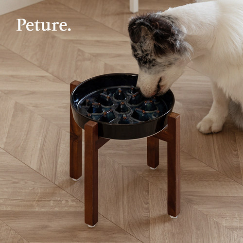 Peture宠物慢食碗璀璨星空纹理