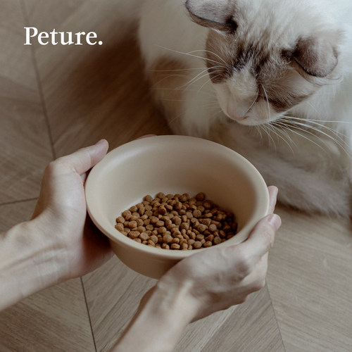 Peture陶瓷宠物碗釉下彩安全健康