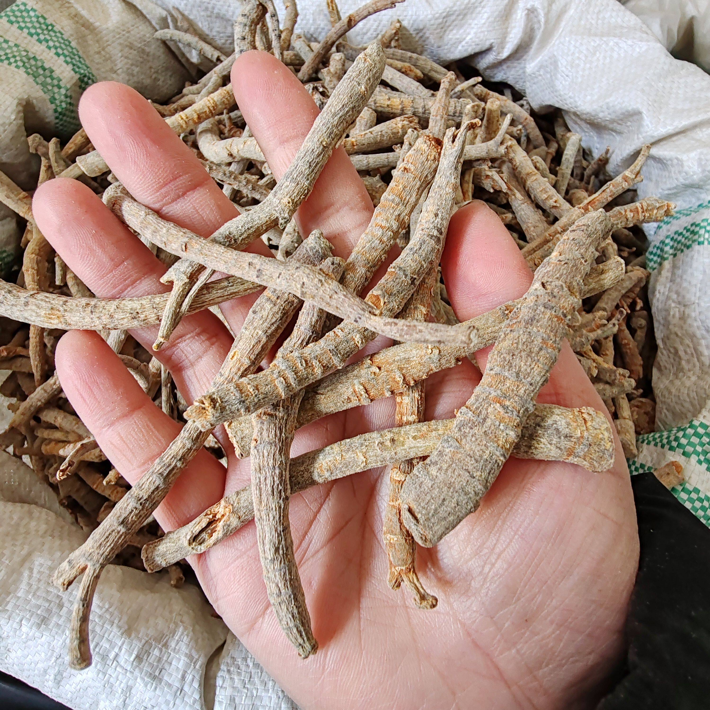 三七根条云南文山田七水洗三七煲汤打粉料三七大根中根小根