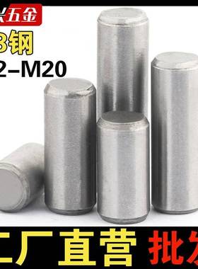 A3柱销G119定位销固定销销柱子碳钢圆销M2MB3M4M5M6M8M10M1圆2M20