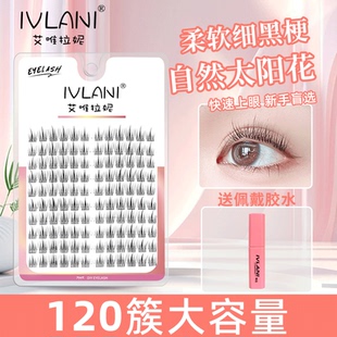 艾唯拉妮 假睫毛分段式朵毛自然放大双眼下睫毛黑梗软梗眼睫毛