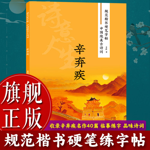 规范楷书硬笔字帖辛弃疾