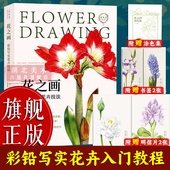 彩色铅笔画步骤解析花草植物画册教学图书籍 成人初学者入门到精通零基础自学铅笔绘画技法 旗舰正版 花之画：彩铅写实花卉技法