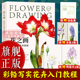 彩色铅笔画步骤解析花草植物画册教学图书籍 成人初学者入门到精通零基础自学铅笔绘画技法 旗舰正版 花之画：彩铅写实花卉技法