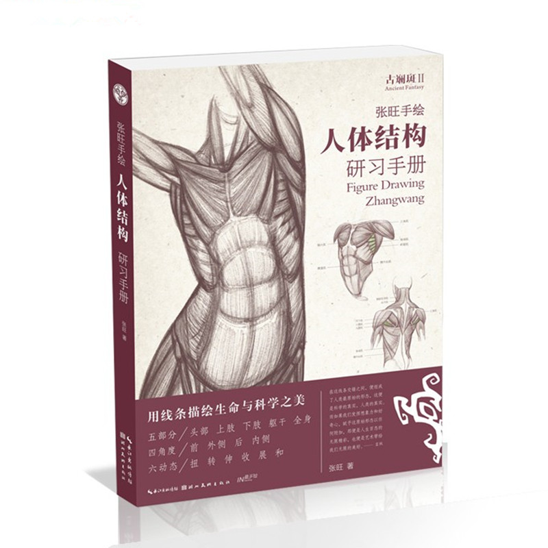 【出版社自营】现货正版包邮张旺人体结构研习手册 古斓斑 张旺著 用线条描绘生命与科学之美 绘画书籍 畅销书怎么看?