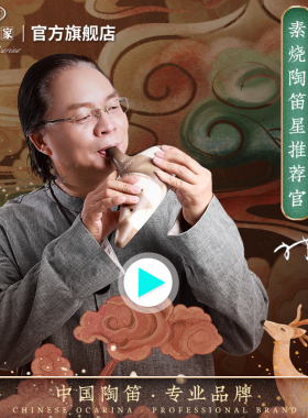 tng陶笛乐器12孔专业陶笛乐器12孔ac笛子乐器12孔陶笛教程送/素烧