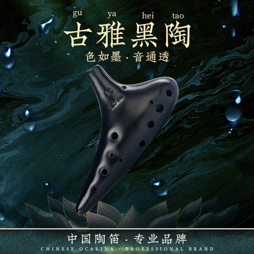 tng专业儿童十二孔曲谱陶笛