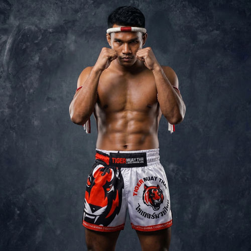 UFC泰拳击搏击健身短裤速干运动