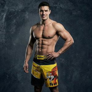 老虎MMA搏击男训练速干耐磨短裤