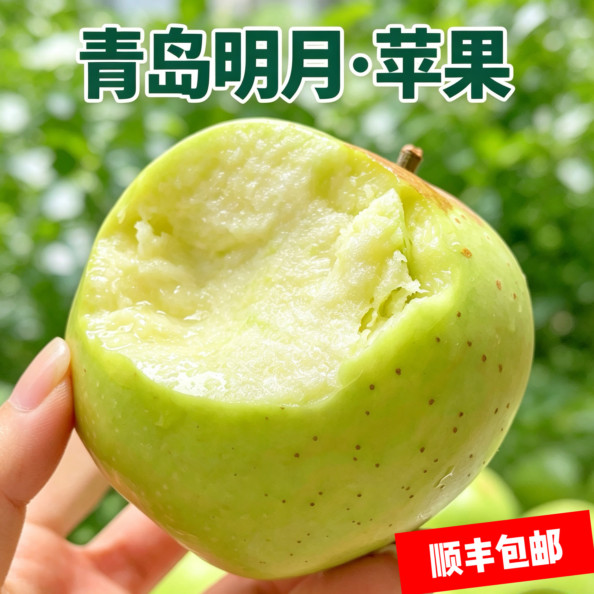 青岛宝山明月苹果青森水蜜桃苹果当季水果现摘日本青森苹果脆甜