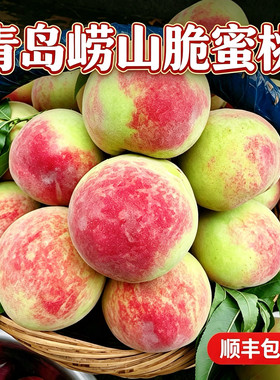 现摘青岛崂山金秋蜜桃脆甜包顺丰