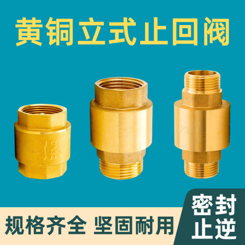 立式止回阀自来水管防反水逆止阀