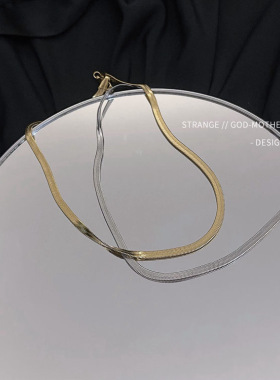 蛇骨链项链女夏季简约ins潮冷淡风甜酷锁骨链颈链配饰