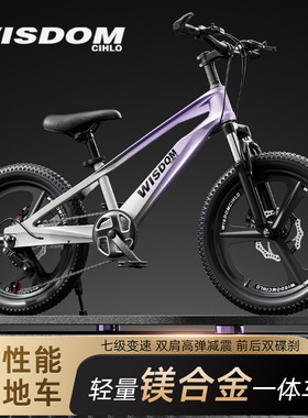 变速山地车中大童镁合金自行车20寸22寸13岁大童减震碟刹山地车