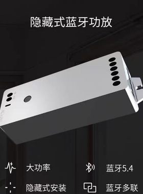 隐藏式无线组网蓝牙功放背景音乐