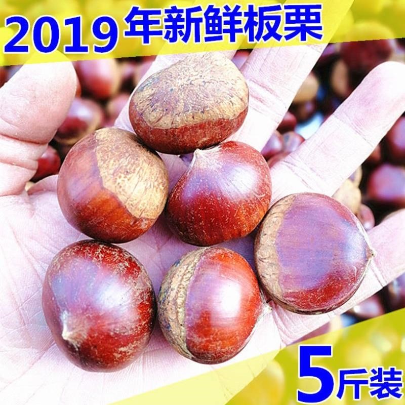 5斤装2019年板栗生新鲜栗子带壳毛栗子5斤板粟油栗包邮10。|msdalam kategori daging perikanan/Buah-buahan segar dan sayur-sayuran/dimasak, sayur-sayuran segar/Vegetable Products, sayur-sayuran segar, 新鲜板栗 - dari Buy2taobao.com untuk memberikan perkhidmatan ejen Taobao profesional membeli