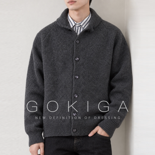 GOKIGA秋冬复古翻领针织毛衣男